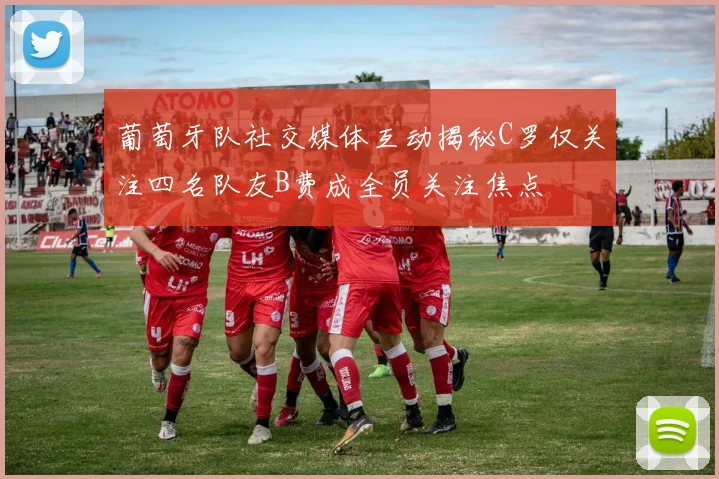 葡萄牙队社交媒体互动揭秘C罗仅关注四名队友B费成全员关注焦点